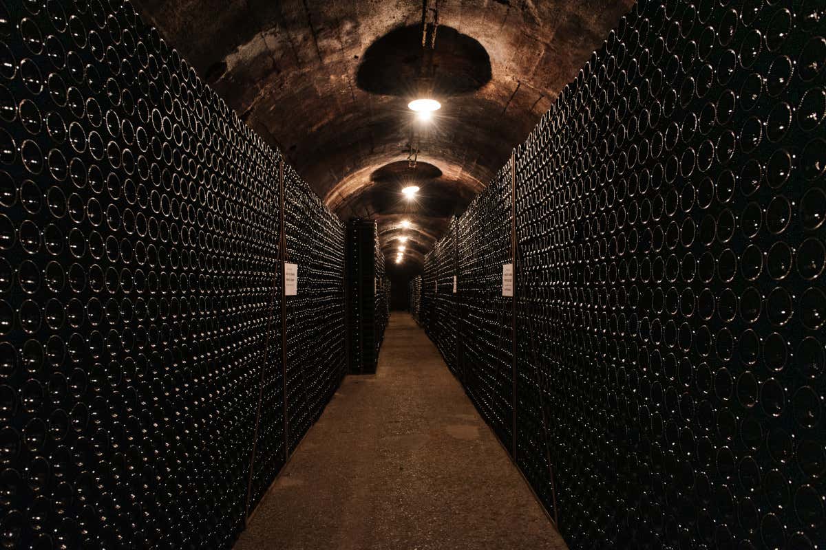 Nasce Casa Pisoni, la nuova fase dei Trentodoc dell'azienda sul modello maison Nasce Casa Pisoni, la nuova fase dei Trentodoc dell'azienda sul modello maison