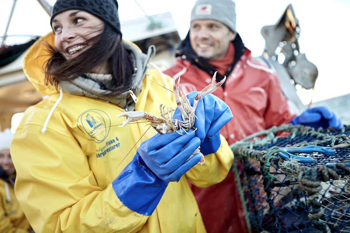 Vivere l'emozione della pesca nel Mare del Nord: un safari gastronomico alla scoperta dei crostacei svedesi