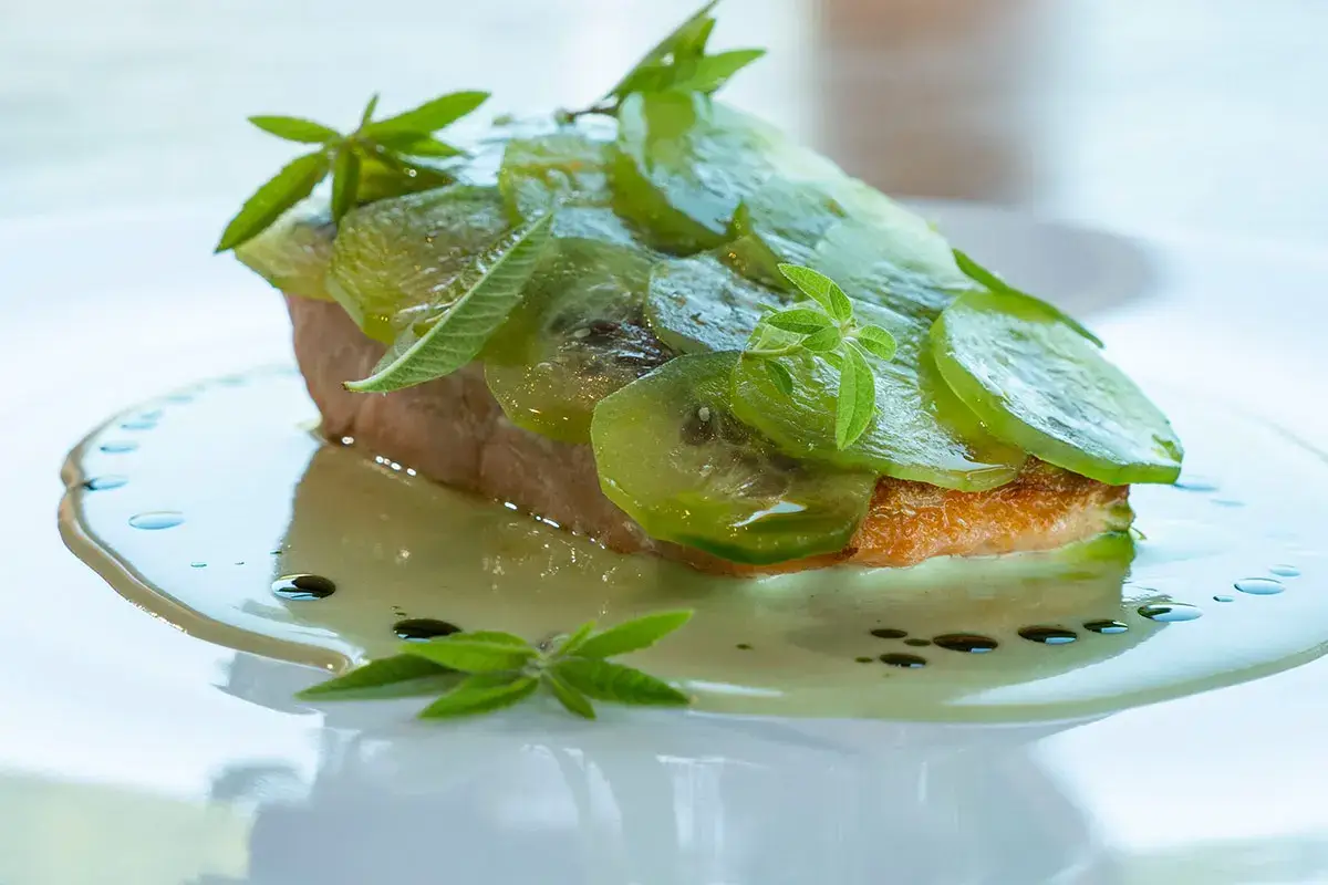 Salmone scottato, yogurt di montagna e verbena Salmone scottato, yogurt di montagna e verbena