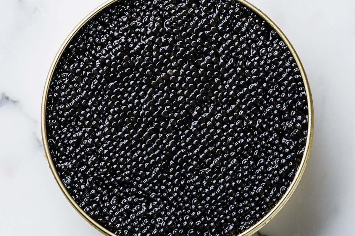 Caviale Salmone e non solo: in estate &egrave; tempo di gustare tante specialit&agrave; ittiche