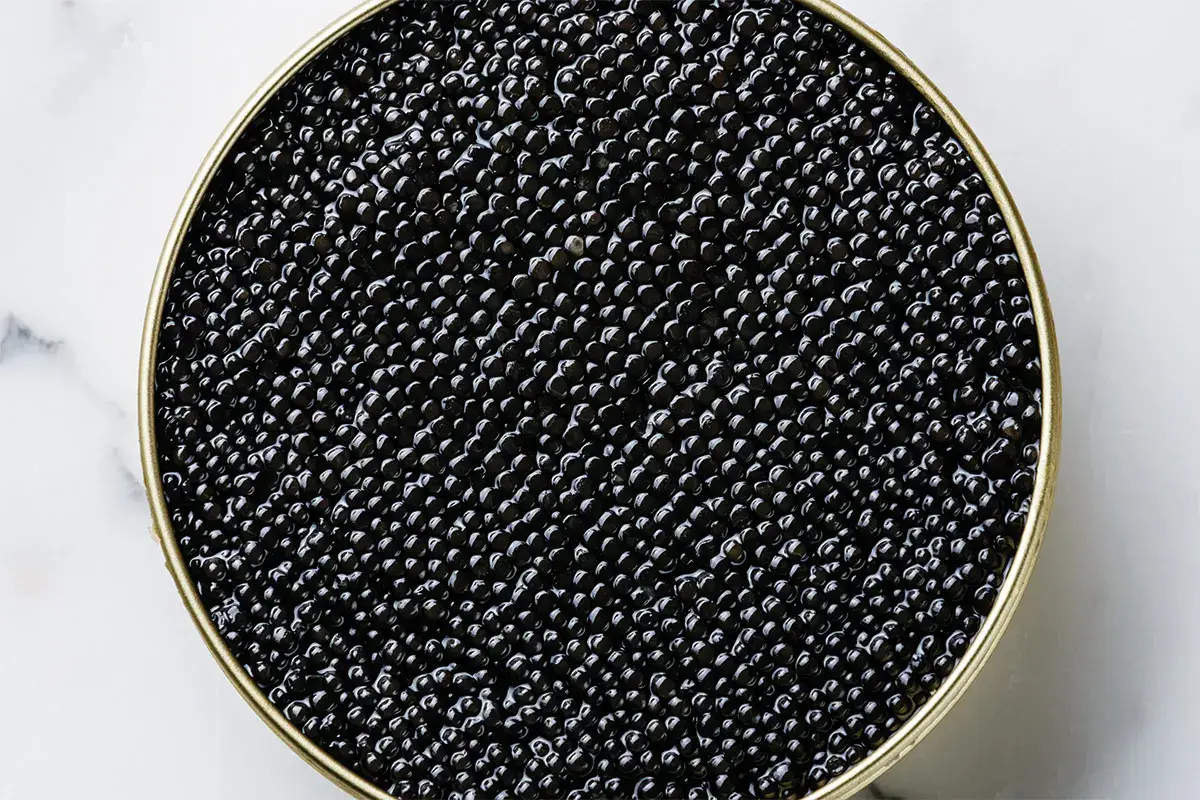 Caviale Salmone e non solo: in estate &egrave; tempo di gustare tante specialit&agrave; ittiche