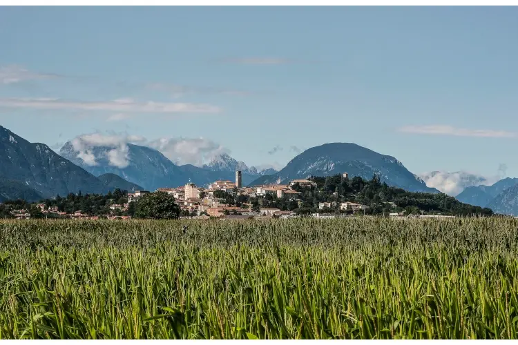Torna a San Daniele del Friuli la festa del prosciutto