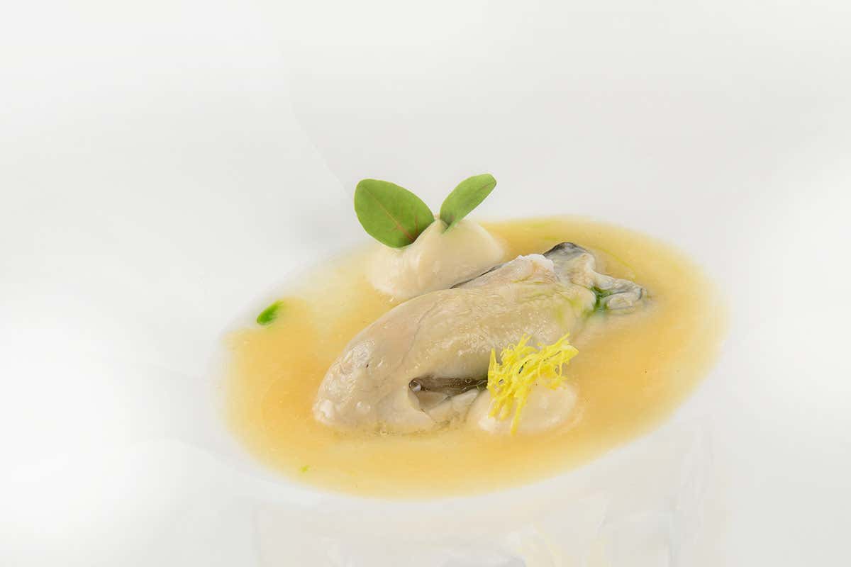 Ostrica, brodo di sedano rapa e burro nocciola Ostrica, brodo di sedano rapa e burro nocciola