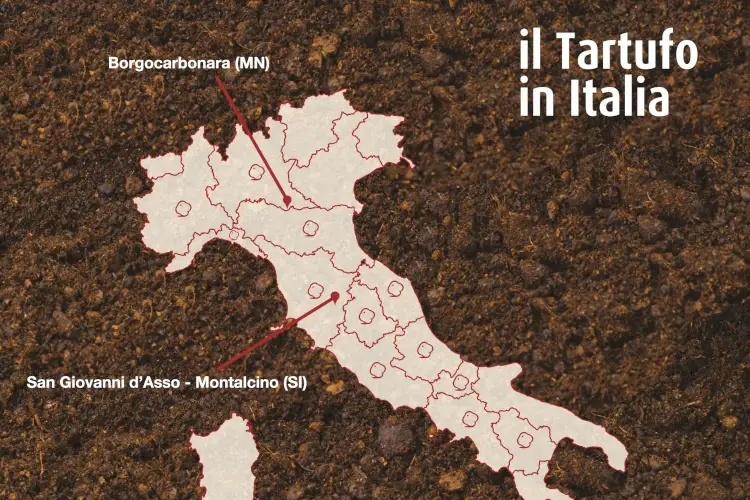 san giovanni d'asso