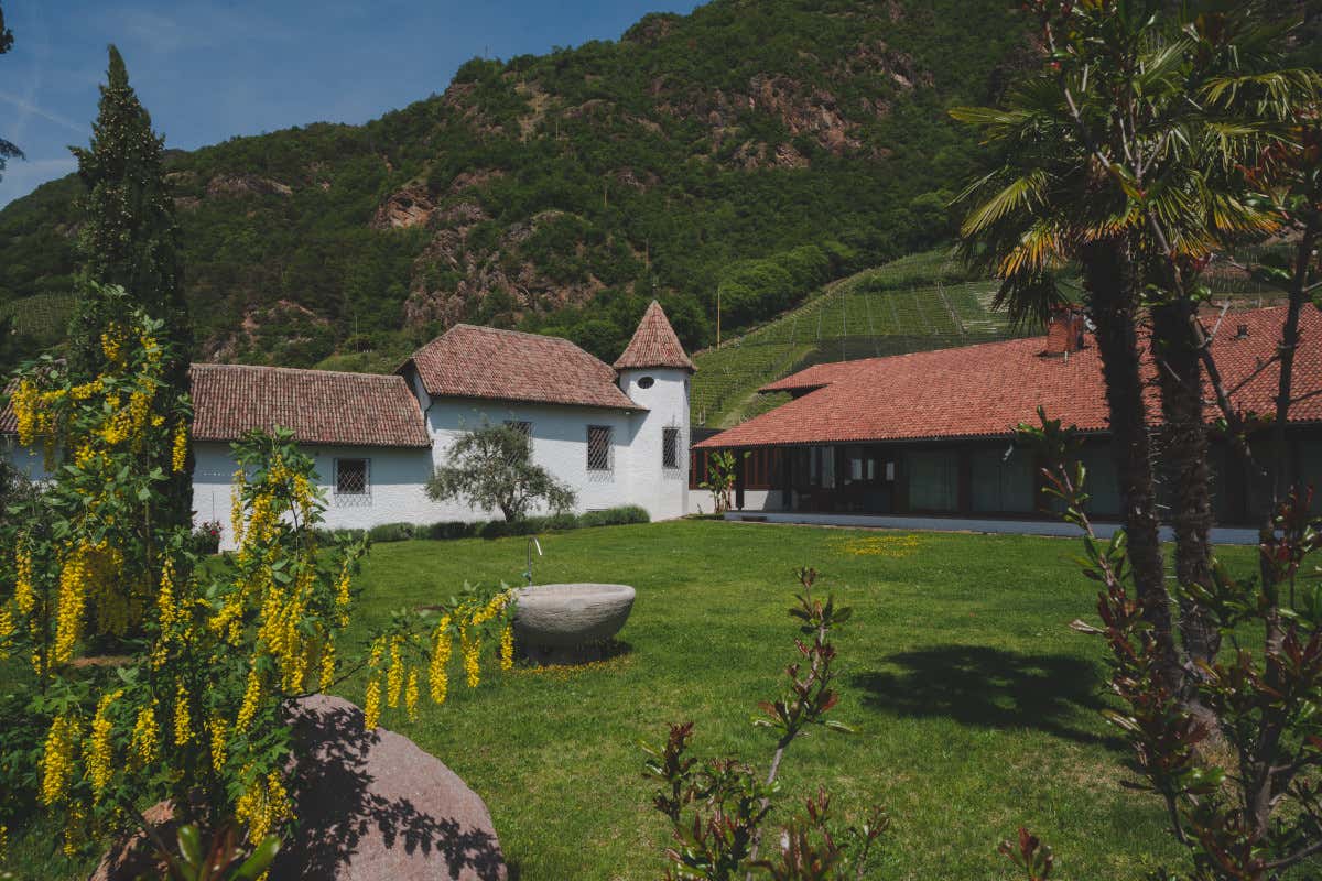 Fuga dai bambini: ecco i soggiorni nei masi Gallo Rosso solo per adulti Fuga dai bambini: ecco i soggiorni nei masi Gallo Rosso solo per adulti