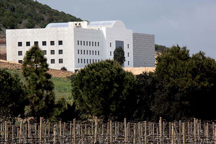 Santa Margherita e Gavino Sanna insieme per il futuro di Cantina Mesa