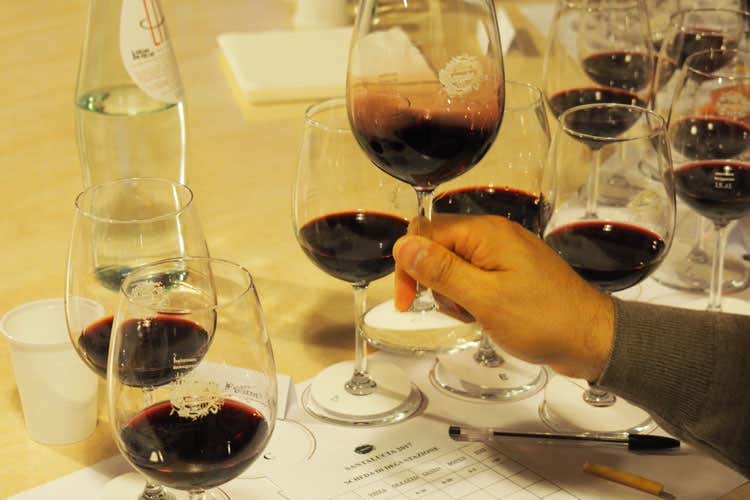 (Santalucia di Cantina Maculan sostiene la ricerca per le malattie oculari) (Santalucia di Cantina Maculan sostiene la ricerca per le malattie oculari)