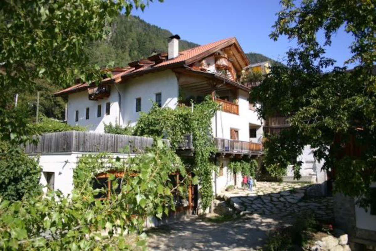 La cantina Cantina Santerhof, il vino torna in alta quota dopo 100 anni