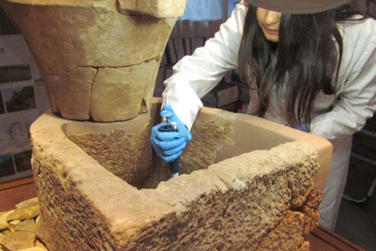 In Sardegna il vino più antico d'Europa Era della civiltà nuragica, tremila anni fa In Sardegna il vino più antico d'Europa Era della civiltà nuragica, tremila anni fa