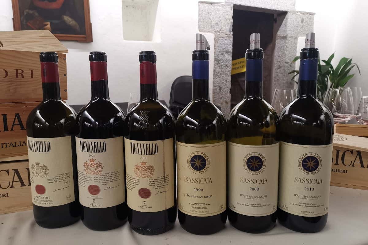 Sassicaia e Tignanello, ecco perché sono i due vini che tutti vorrebbero assaggiare