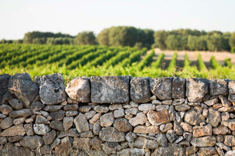 Sava, al convegno Essentia loci si parla dell&rsquo;identit&agrave; del vino pugliese