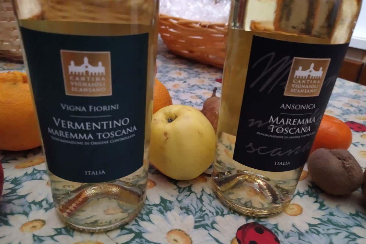 Vignaioli del Morellino di Scansano la qualità è un lavoro di squadra