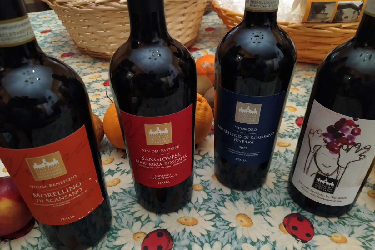 Vignaioli del Morellino di Scansano la qualità è un lavoro di squadra