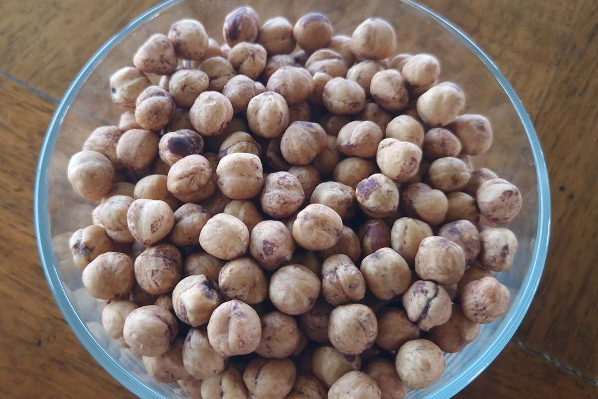 La magia della nocciola Tonda Gentile al risveglio: colazione con tè all’Oliveto sul Lago La magia della nocciola Tonda Gentile al risveglio: colazione con tè all’Oliveto sul Lago