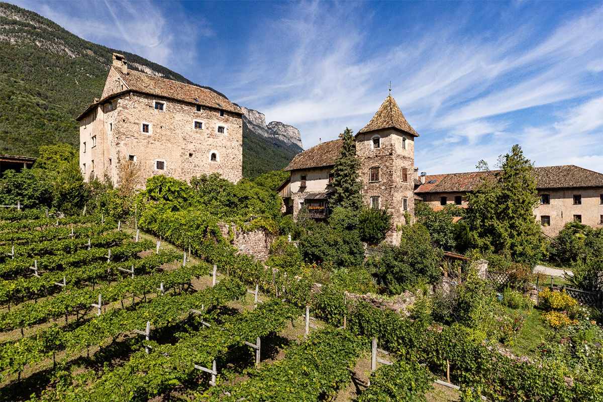 il vigneto del pinot bianco Schulthauser I magnifici 6 di Hans Terzer Le novit&agrave; di Cantina san Michele