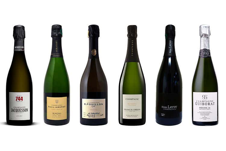 Sei chicche enologiche francesi nel catalogo di Pellegrini Spa