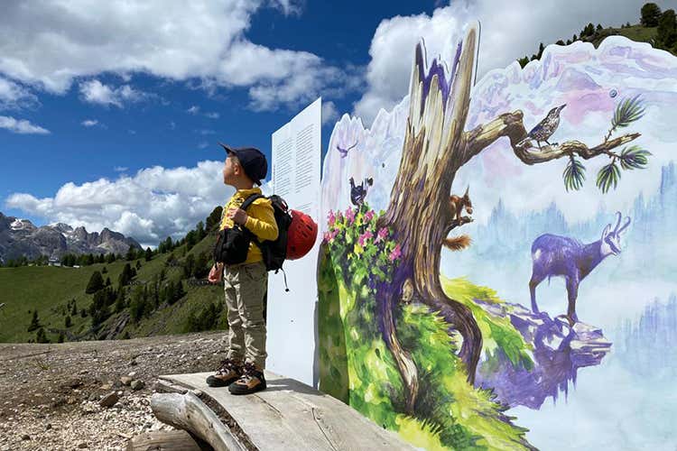 Il Sentiero Incantato, passeggiata nel bosco animata da narratori in costume Alla scoperta della Val di Fassa tra formaggi, alpaca e leggende