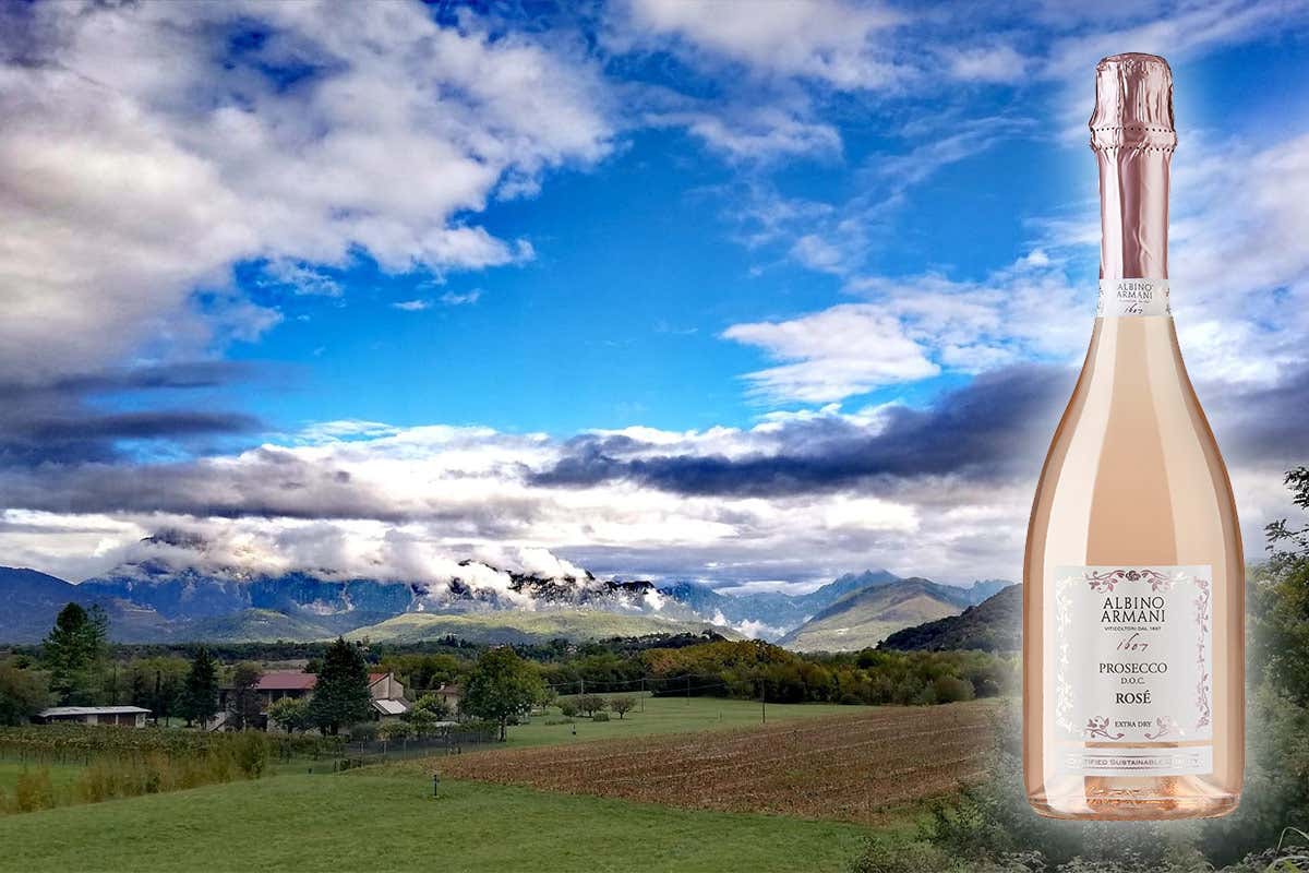 Il Prosecco Rosé Albino Armani. Sullo sfondo la vallata di Sequals Prosecco Rosé 2020 Albino Armani L’anima dell’Alta Grave friulana Il Prosecco Rosé Albino Armani. Sullo sfondo la vallata di Sequals Prosecco Rosé 2020 Albino Armani L’anima dell’Alta Grave friulana