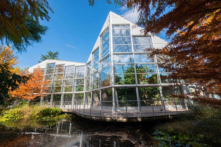 Nella Serra temperatura costante tra i 23 e i 25 gradi Celsius Riapre la Serra dei Giardini di Castel Trauttmansdorff Nella Serra temperatura costante tra i 23 e i 25 gradi Celsius Riapre la Serra dei Giardini di Castel Trauttmansdorff