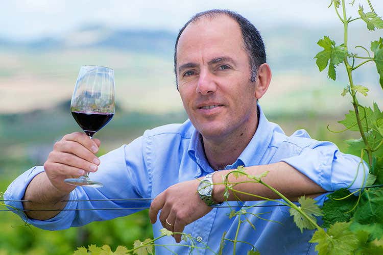Antonio Rallo - Sicilia, vendemmia 2017 complicata Irrigazione di soccorso determinante