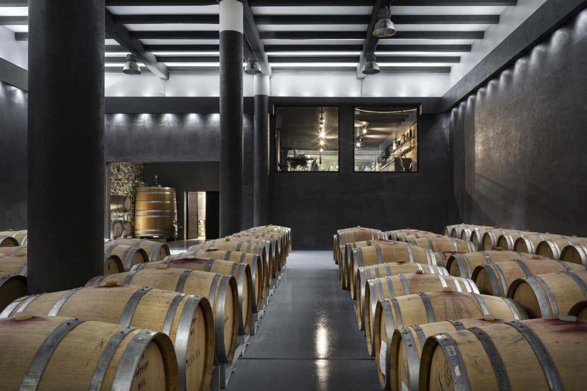 La barriccaia di Sidd&ugrave;ra Vino: Sidd&ugrave;ra amplia i terreni e la cantina