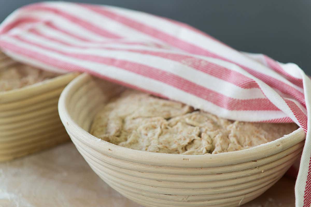 Lievitazione, la nuova moda da lockdown Gelato, pane e dolci: per la ripresa contano formazione e tecnologia