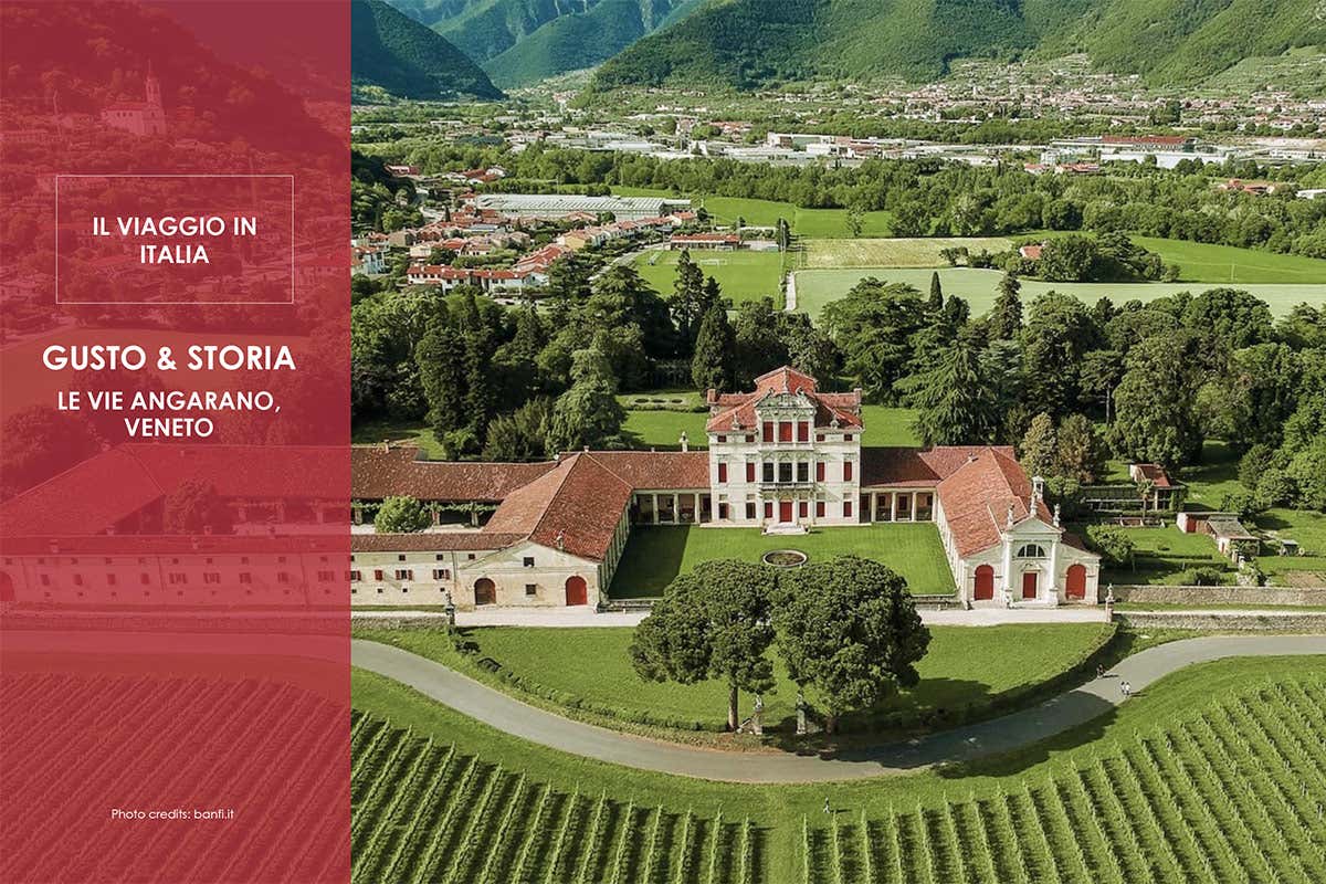 Come conquistare i turisti? Offrendo un'esperienza con cibo e vino