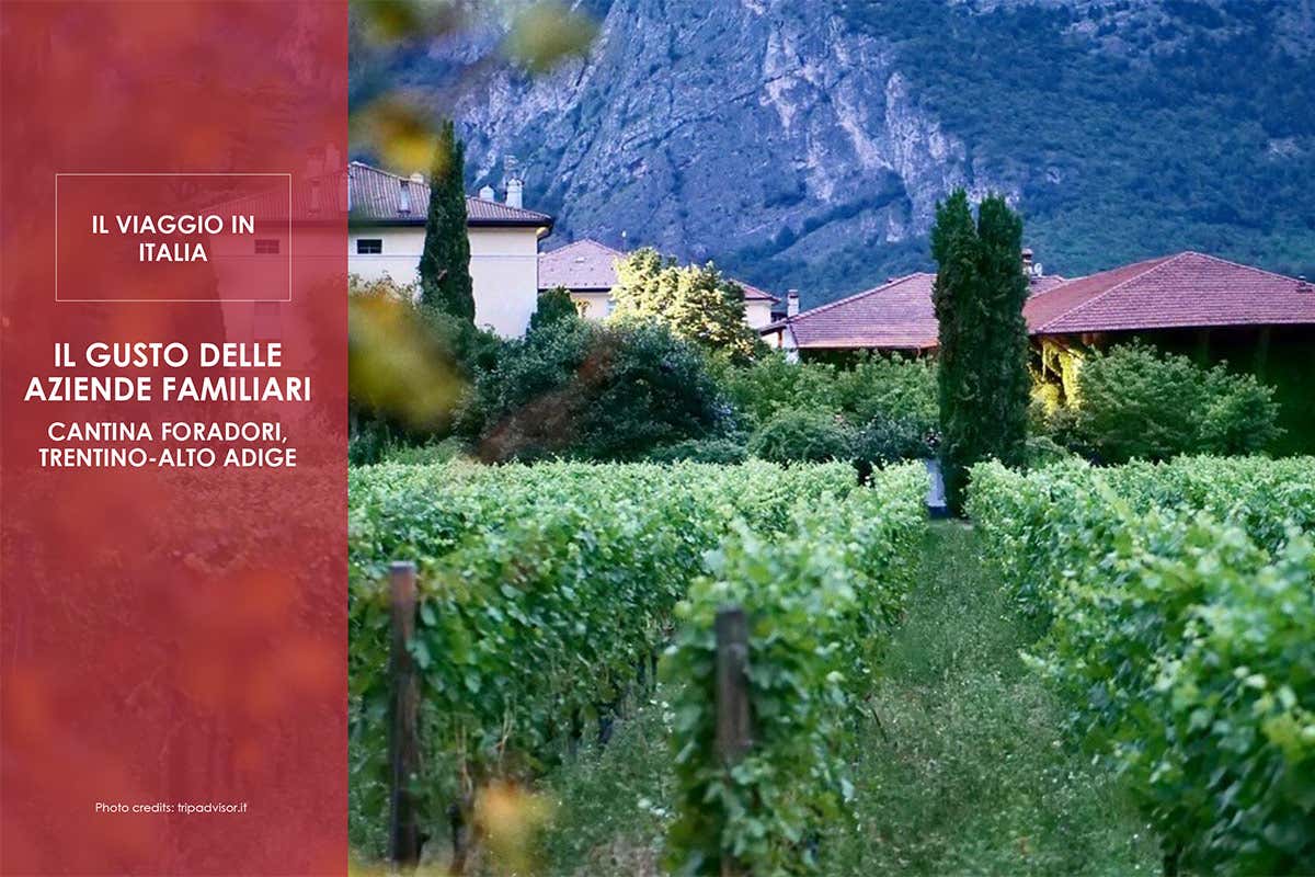 Come conquistare i turisti? Offrendo un'esperienza con cibo e vino