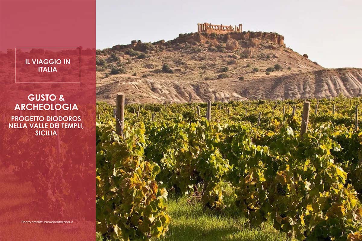 Come conquistare i turisti? Offrendo un'esperienza con cibo e vino