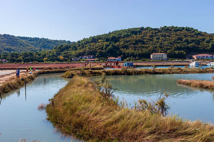 Le saline di Sicciole - L'influenza della cucina veneta nei piatti di mare della Slovenia