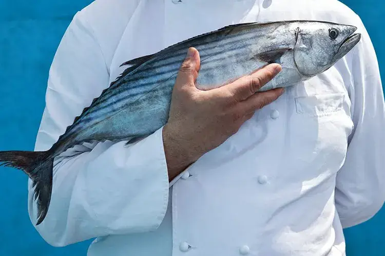 Slow Fish, avanti fino al 4 luglio