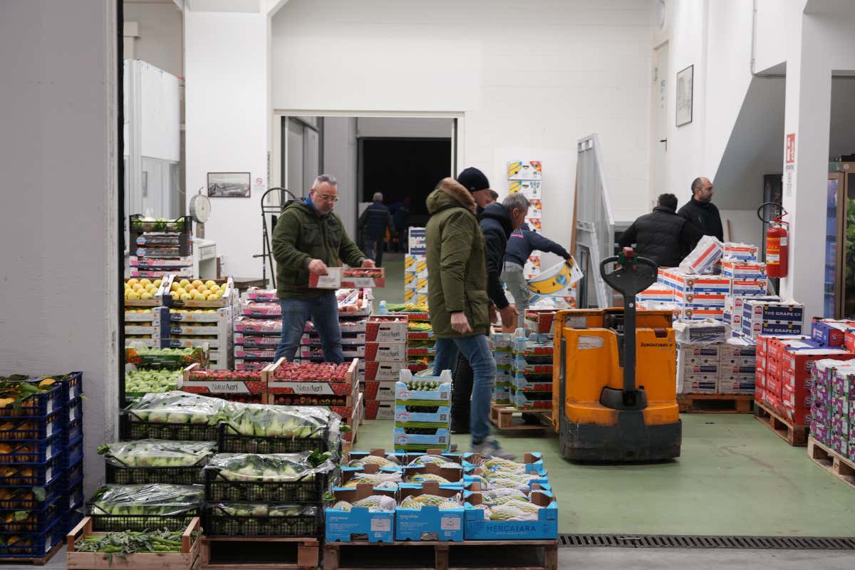 Come il Mercato Alimentare Milano garantisce qualità e sicurezza Come il Mercato Alimentare Milano garantisce qualità e sicurezza