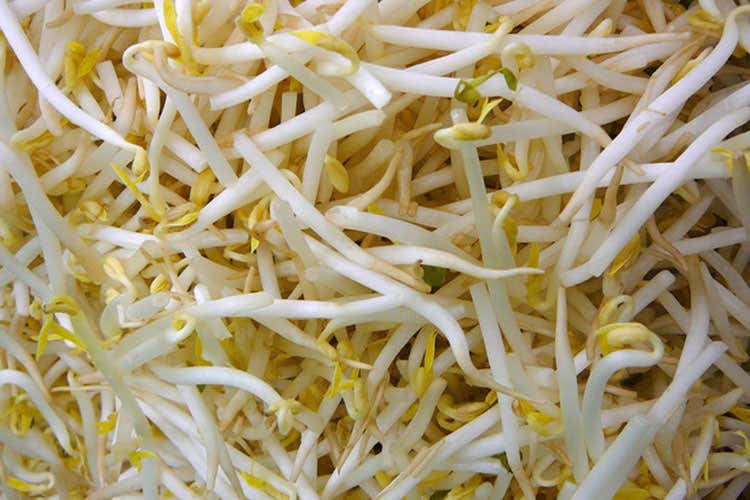 (Soia biofortificata Un rimedio alla carenza di iodio in Italia)