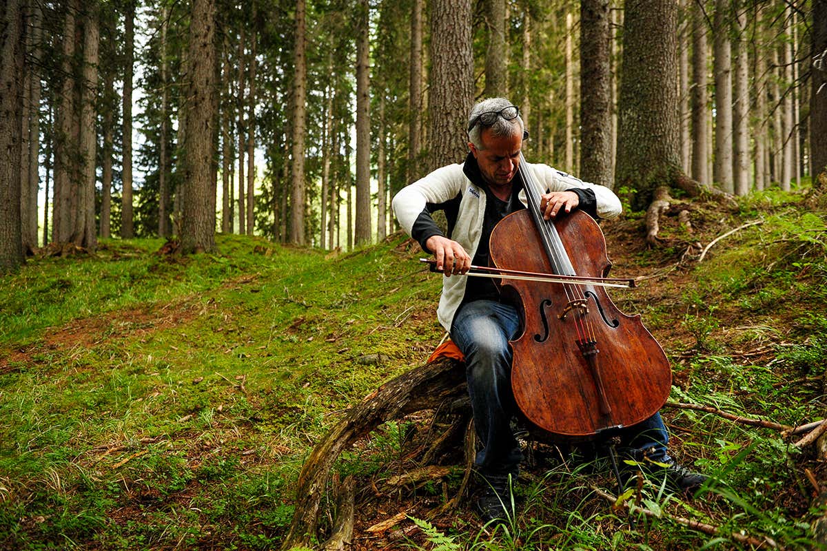 Sollima nel Bosco che Suona- Foto: F. Modica  Val di Fiemme, spa a cielo aperto dove la sostenibilità è di casa