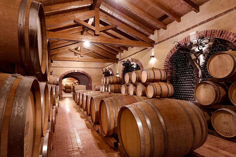 Il &ldquo;metodo TM&rdquo; &egrave; sinonimo di eccellenza: in vigna, in cantina e in bottiglia (Soranus di Tenuta Montemagno Un Barolo da medaglia d&rsquo;oro)