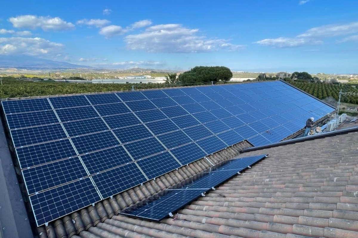 Amaro Amara, produzione autosufficiente contro i rincari energetici