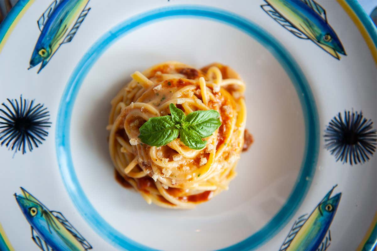 Spaghetti alla chitarra ai ricci di mare Spaghetti alla chitarra ai ricci di mare