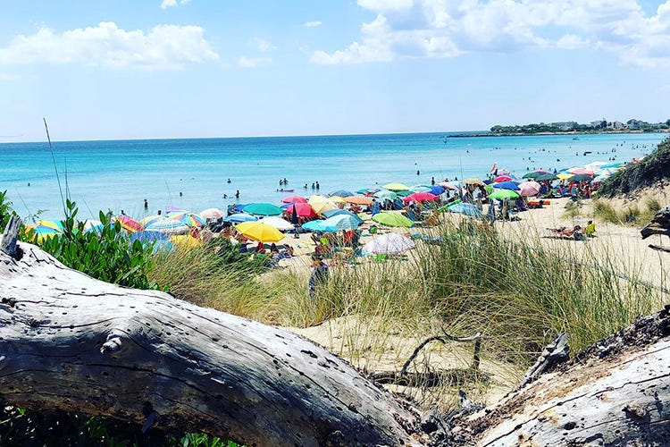 Punta Prosciutto - Le 10 spiagge più instagrammate La Scala dei Turchi non teme rivali