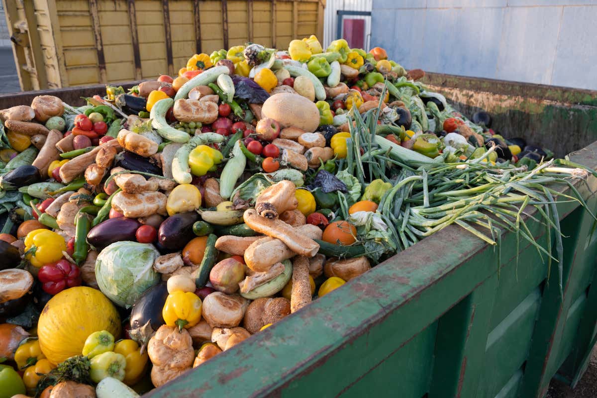 È overshoot day esaurite le risorse del Pianta. Un miliardo di tonnellate di cibo gettati ogni anno