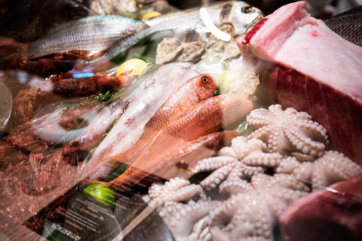 La proposta culinaria di Porta De Mä Ristorante Porta De Mä: a Monopoli il buono del mare di Puglia La proposta culinaria di Porta De Mä Ristorante Porta De Mä: a Monopoli il buono del mare di Puglia