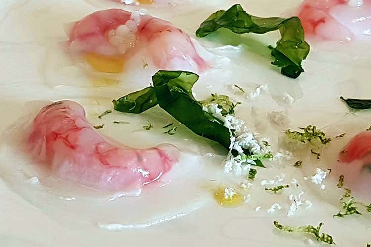 Stagionalit&agrave; e ricerca al Tarabusino La casa della cucina di Roberto Franzin