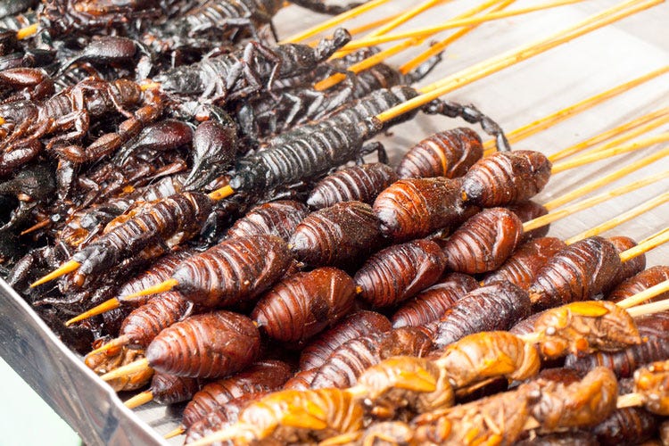 Il ministero della Salute aveva già fermato locuste e grilli fritti ITA0039: «Farine di insetto: a rischio la salute dei consumatori e la dieta mediterranea»