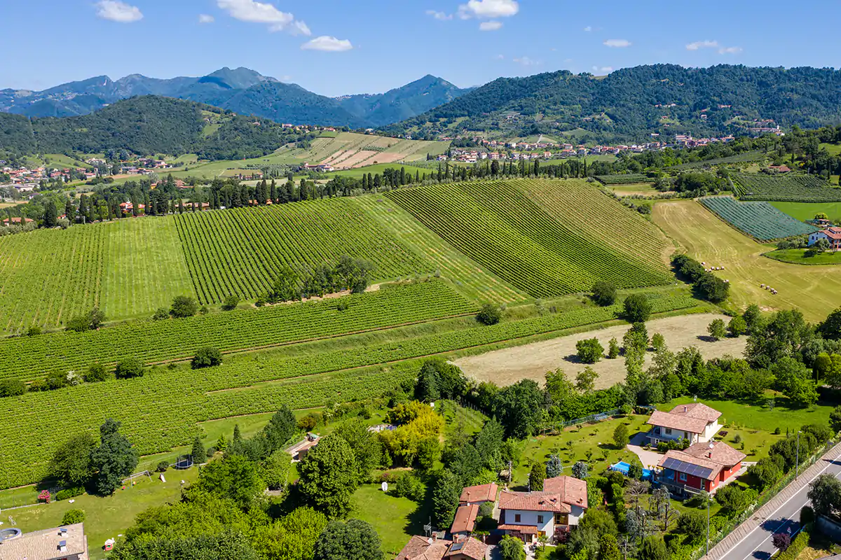 Una veduta della zona del Valcalepio Il Valcalepio perde il suo pap&agrave;. &Eacute; mancato Nino Grumelli Pedrocca