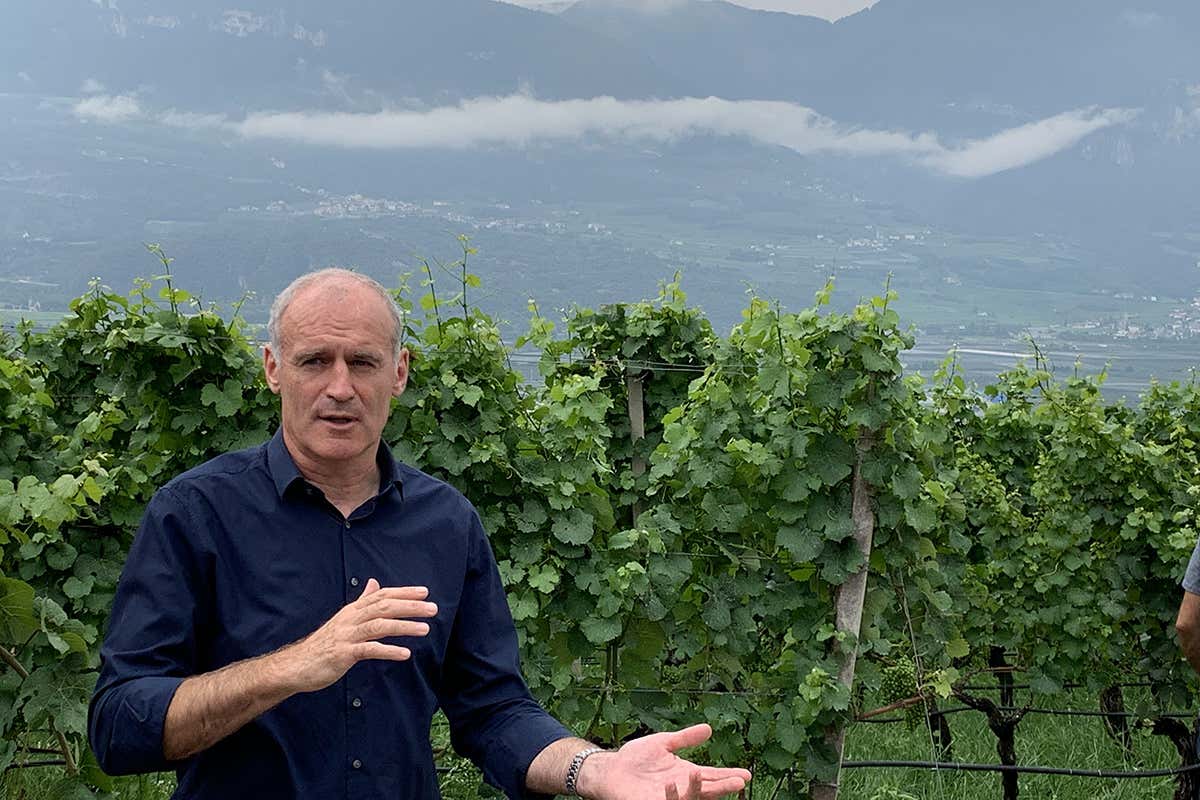 Willi Stürz nelle vigne presso il maso Nussbaumer Cantina Tramin presenta il gioiello custodito in miniera