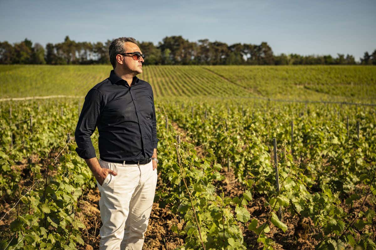 La migliore vendemmia degli ultimi 40 anni per Comte de Montaigne