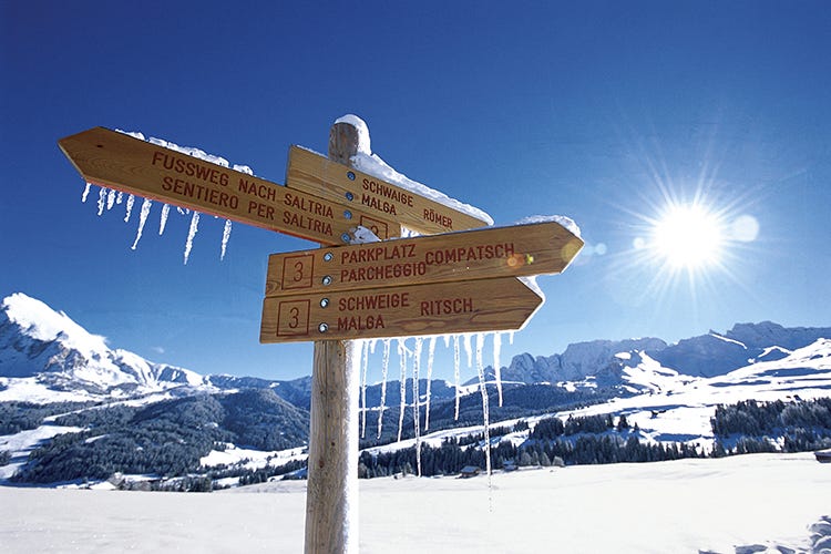 Gli amanti dello sci in Alto Adige hanno solo l’imbarazzo della scelta. Foto: Helmuth Rier - Gli amanti dello sci in Alto Adige hanno solo l’imbarazzo della scelta - Sulla neve in Alto Adige Per respirare la libertà