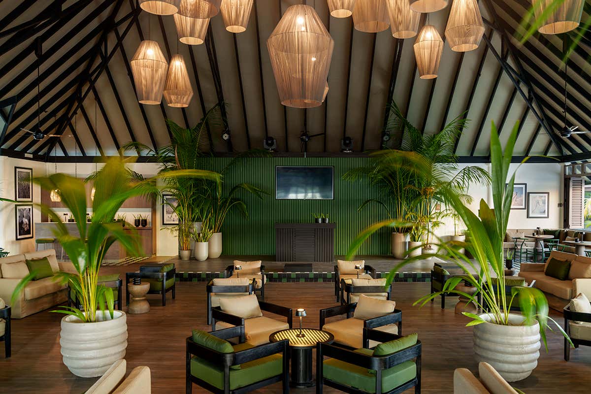 Dall'aperitivo al DJ set: l'Olive Bar, il nuovo polo sociale del resort che unisce relax diurno e dinamismo serale a piedi nudi sulla sabbia