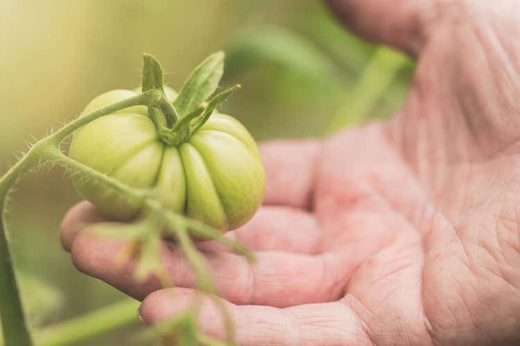 Superfici bio, 20% in Italia nel 2016 Martina: La sostenibilità è la strada giusta Superfici bio, 20% in Italia nel 2016 Martina: La sostenibilità è la strada giusta