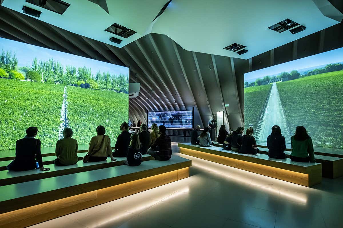 Sala immersiva con vista aerea dei vigneti al museo Cité du Vin