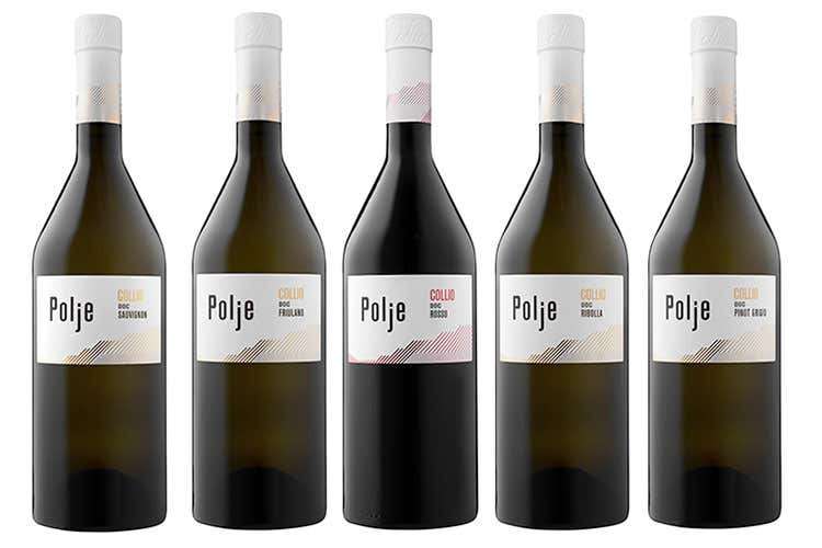 (SuttoWine, una storia d'amore con il vino alla scoperta di terre e colture diverse) (SuttoWine, una storia d'amore con il vino alla scoperta di terre e colture diverse)